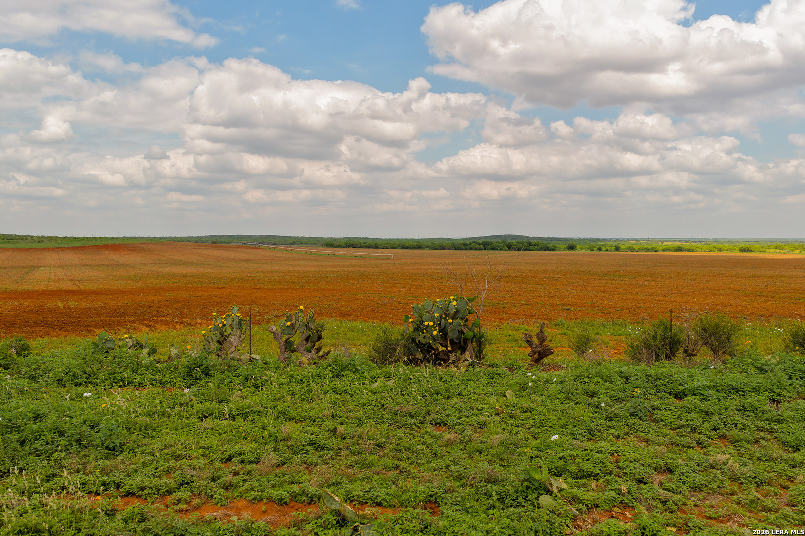Tbd County Road 3000 Keystone Pearsall TX 78061