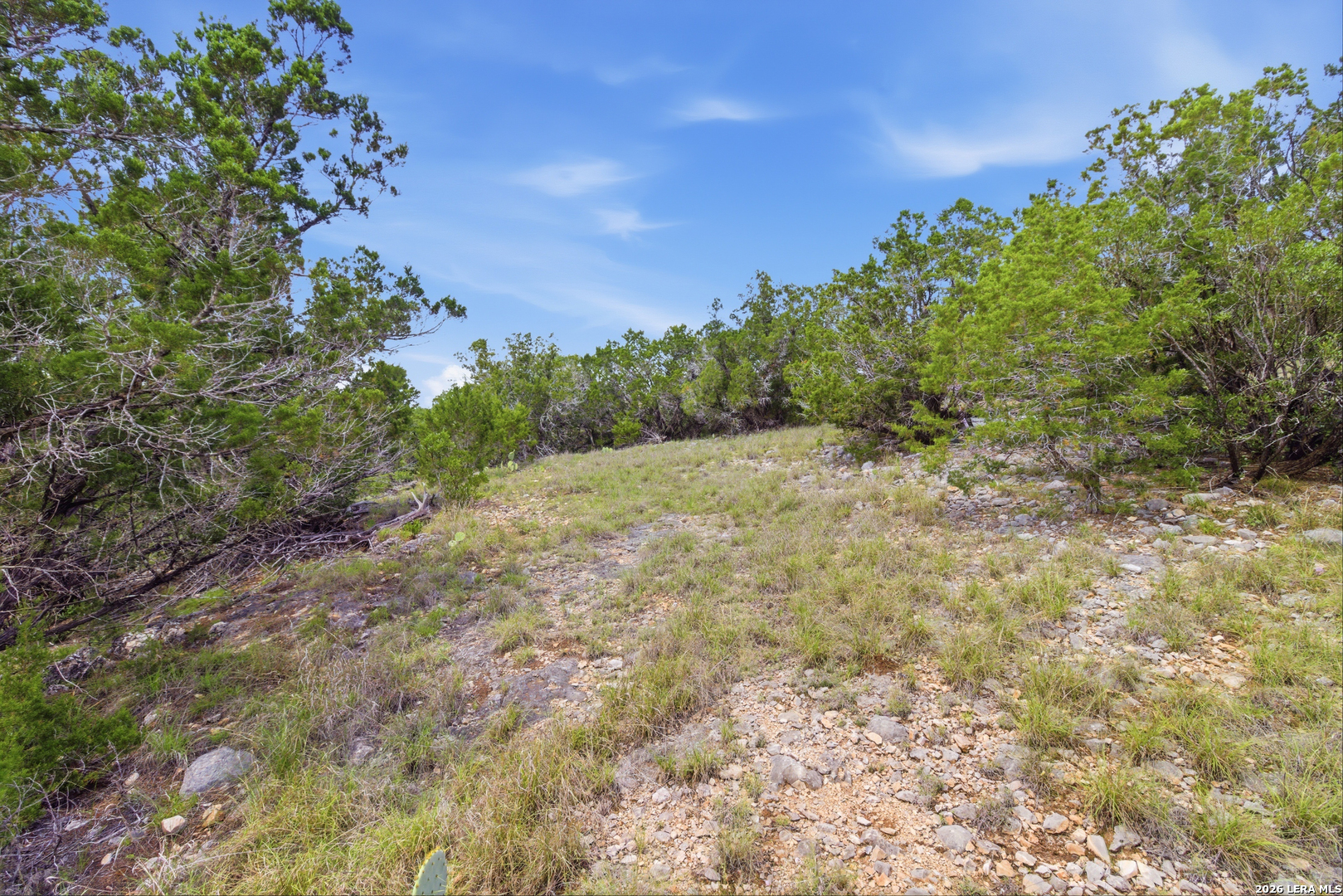 Tbd Coombs Medina TX 78055