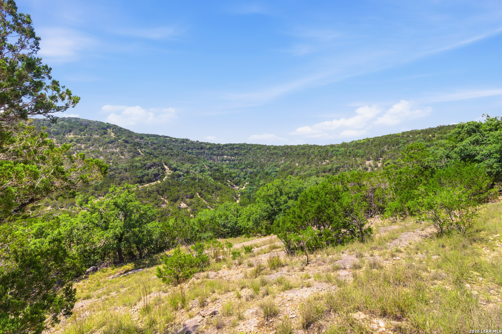Tbd Coombs Medina TX 78055