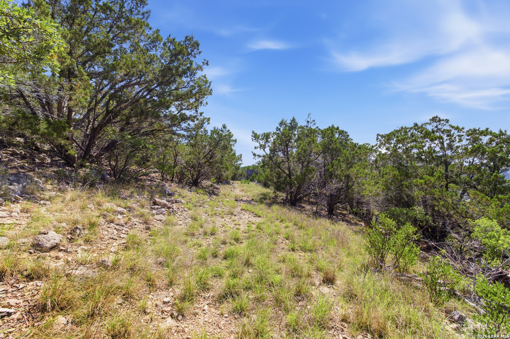Tbd Coombs Medina TX 78055