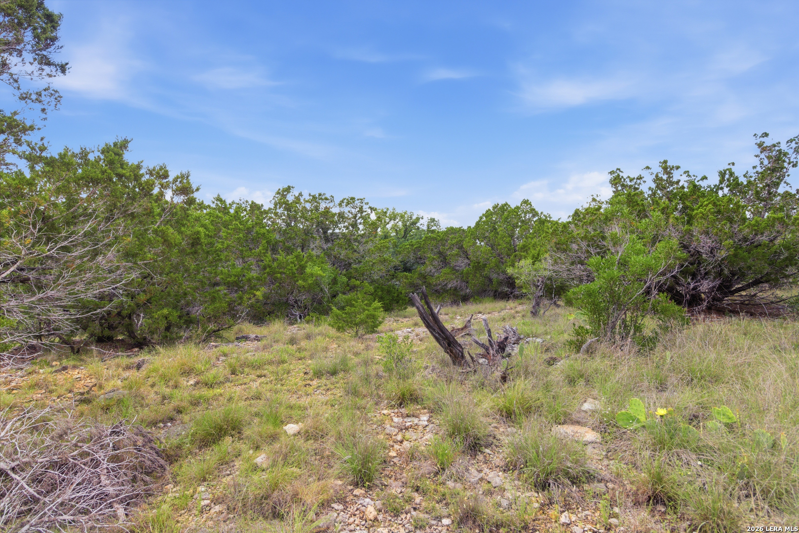 Tbd Coombs Medina TX 78055