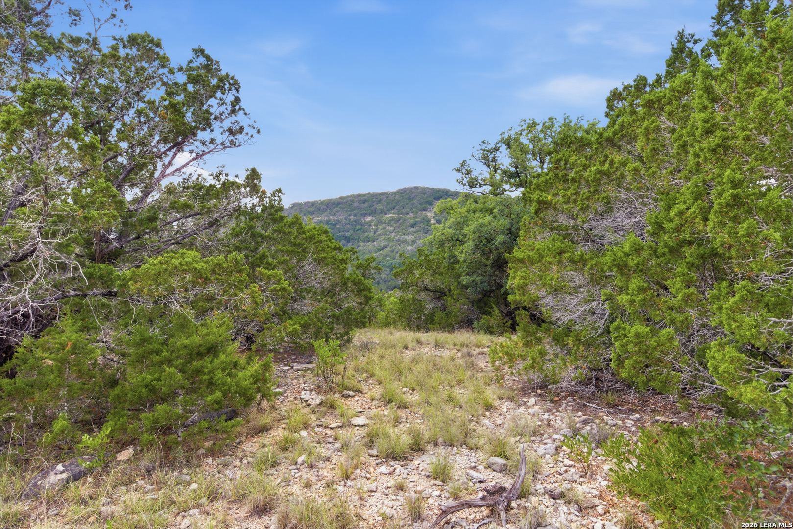 Tbd Coombs Medina TX 78055
