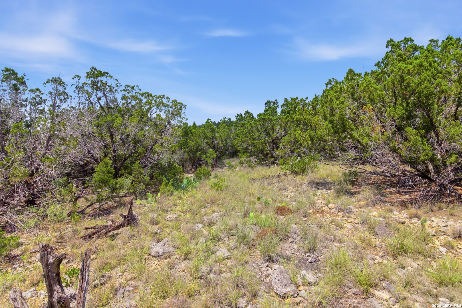 Tbd Coombs Medina TX 78055