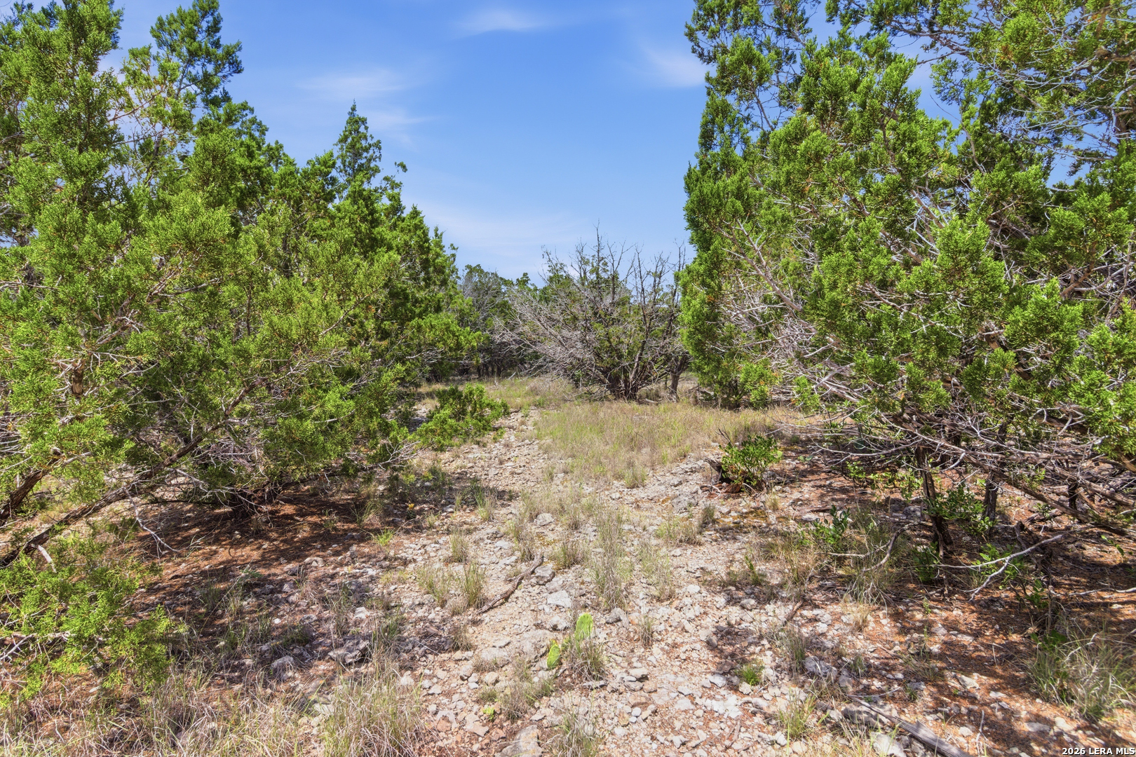 Tbd Coombs Medina TX 78055