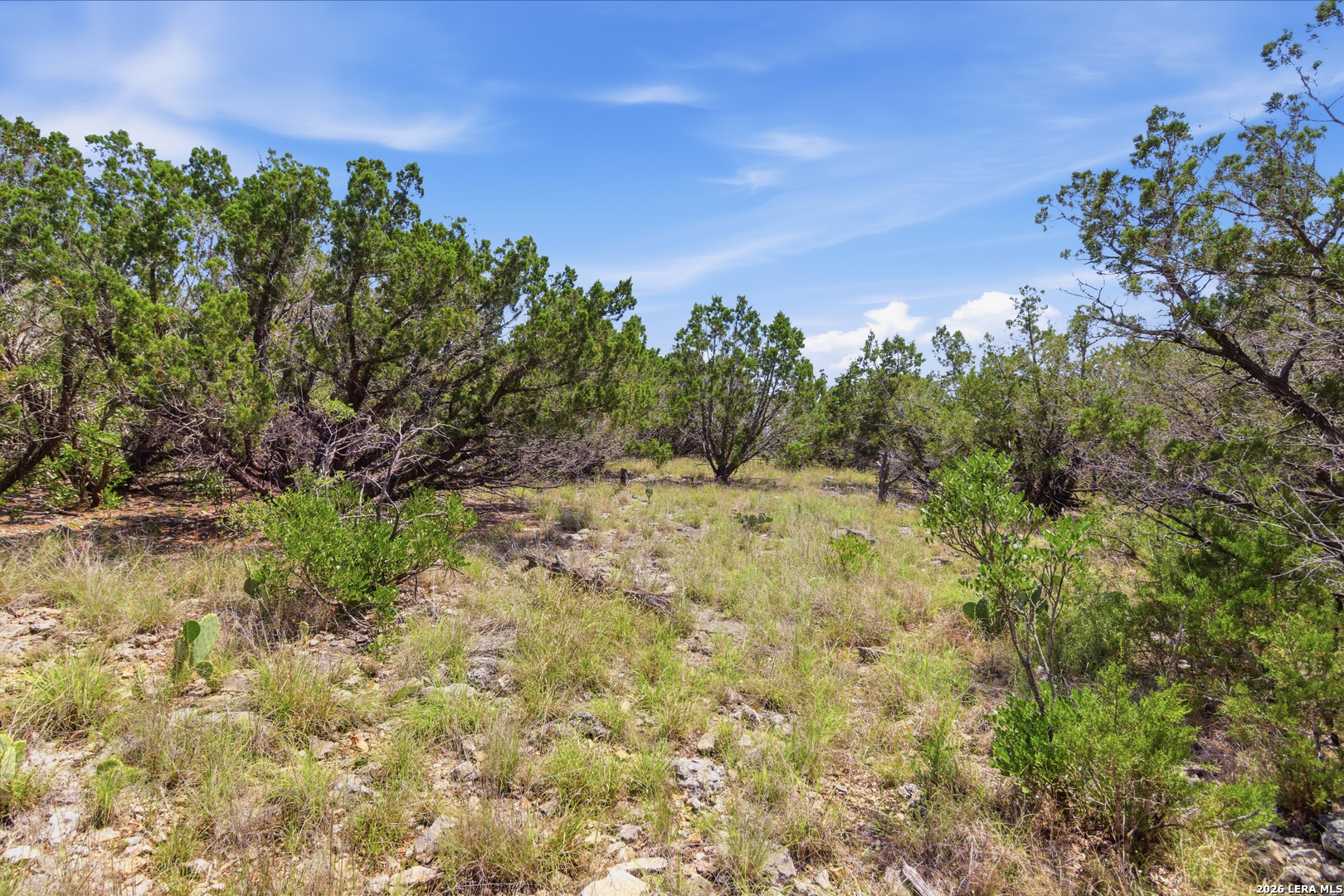Tbd Coombs Medina TX 78055