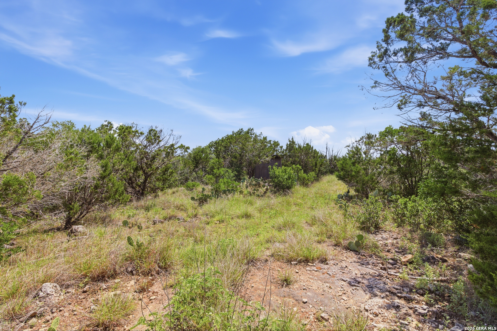 Tbd Coombs Medina TX 78055