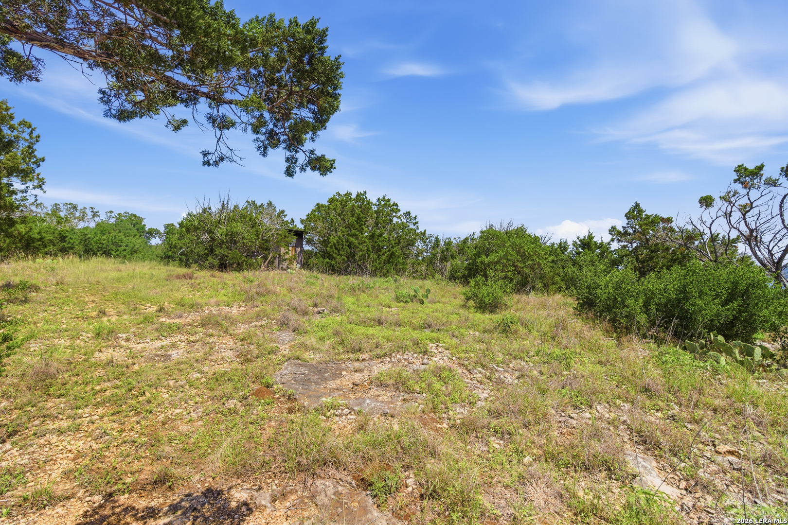Tbd Coombs Medina TX 78055
