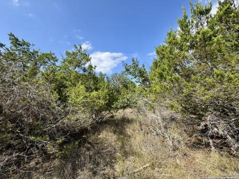 1047 Mystic Breeze Spring Branch TX 78070