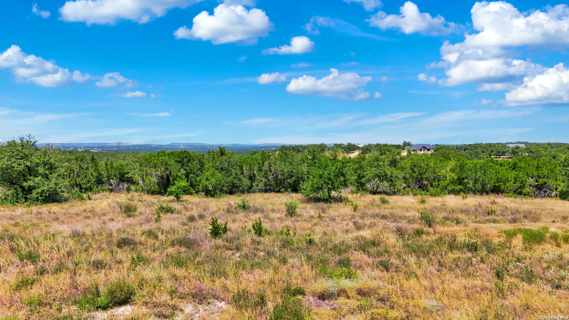 767 Tiswin Trail Blanco TX 78606