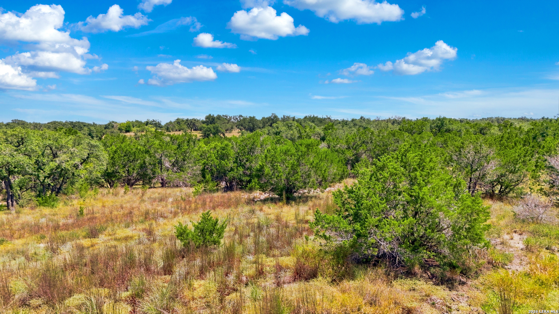 767 Tiswin Trail Blanco TX 78606