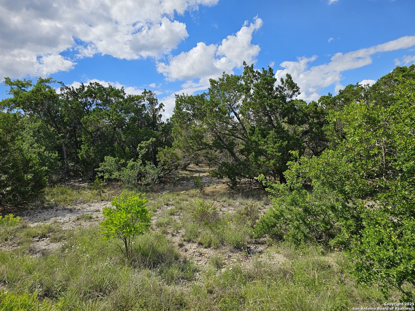 Pr 1747 Lot 347 Mico TX 78056