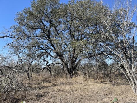 TRACT#8 12.31a County Road 777 Devine TX 78016