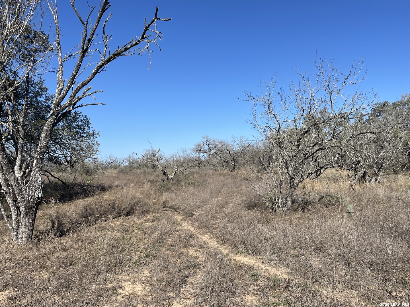 TRACT#8 12.31a County Road 777 Devine TX 78016