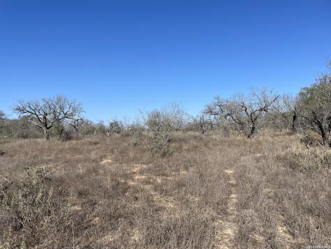 TRACT#8 12.31a County Road 777 Devine TX 78016