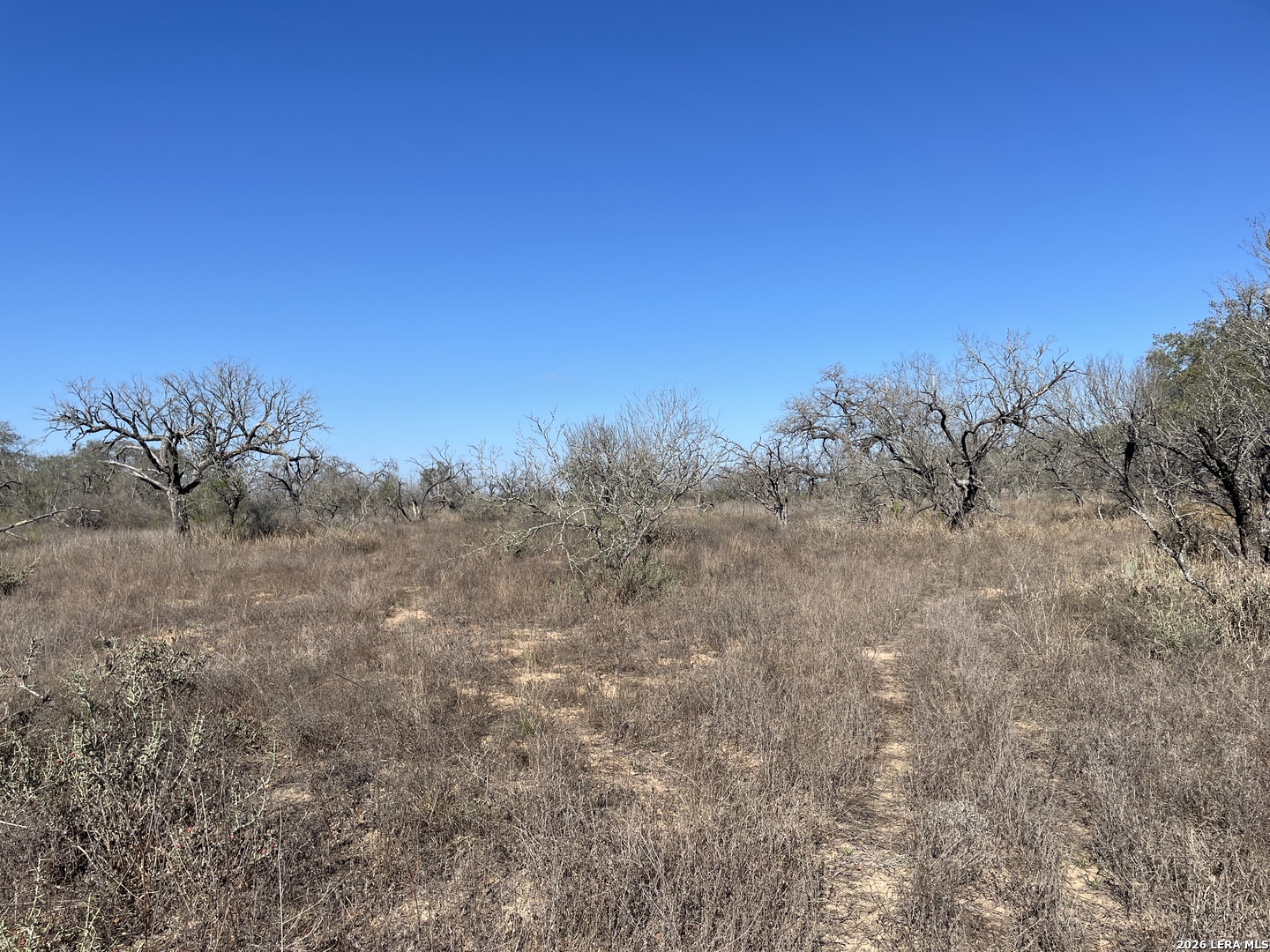 TRACT#8 12.31a County Road 777 Devine TX 78016