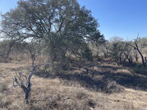 TRACT#8 12.31a County Road 777 Devine TX 78016