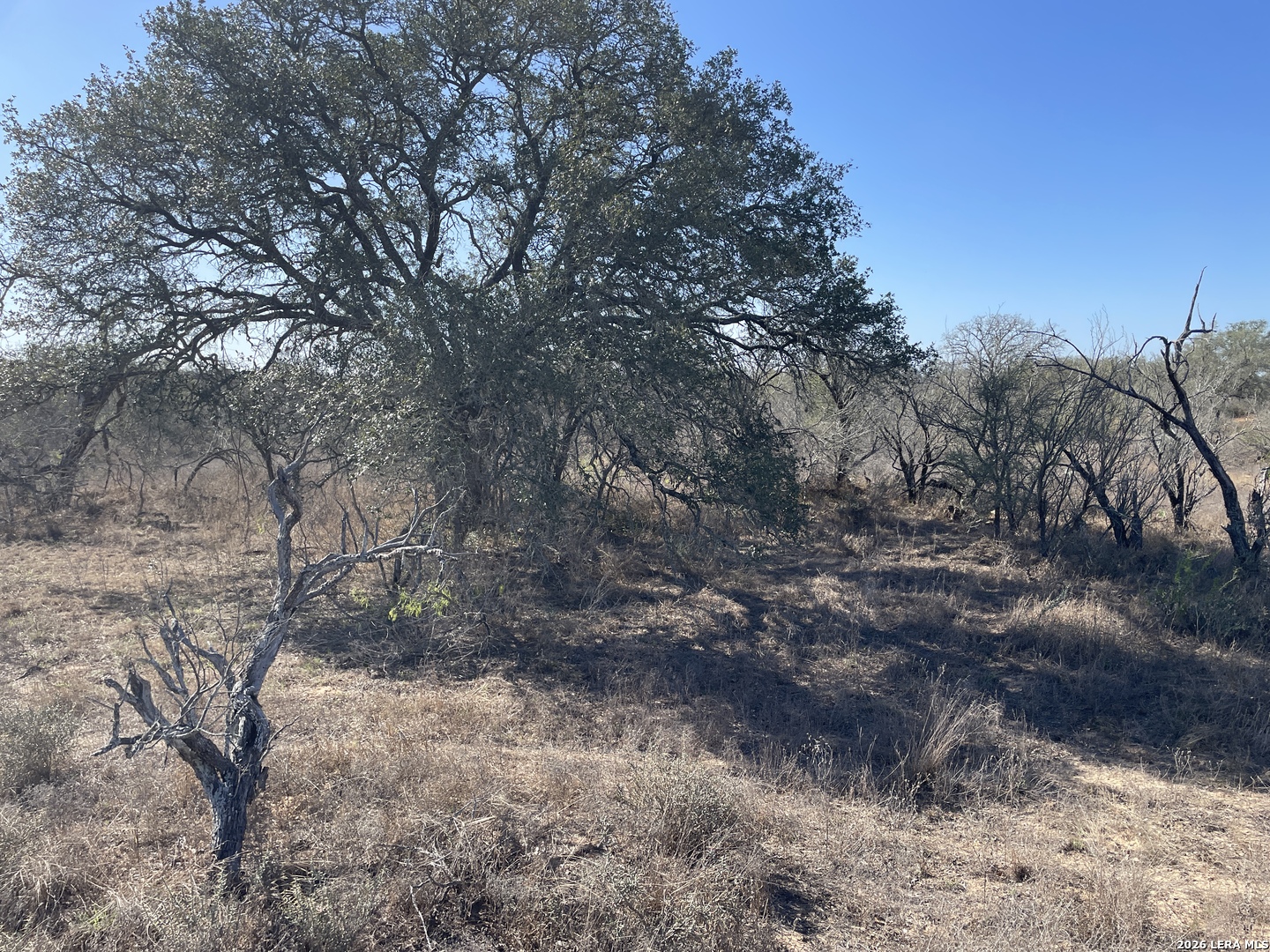 TRACT#8 12.31a County Road 777 Devine TX 78016