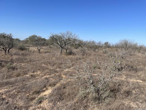 TRACT#8 12.31a County Road 777 Devine TX 78016