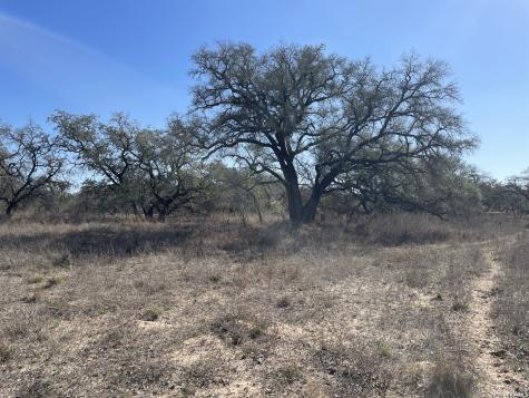 TRACT#8 12.31a County Road 777 Devine TX 78016