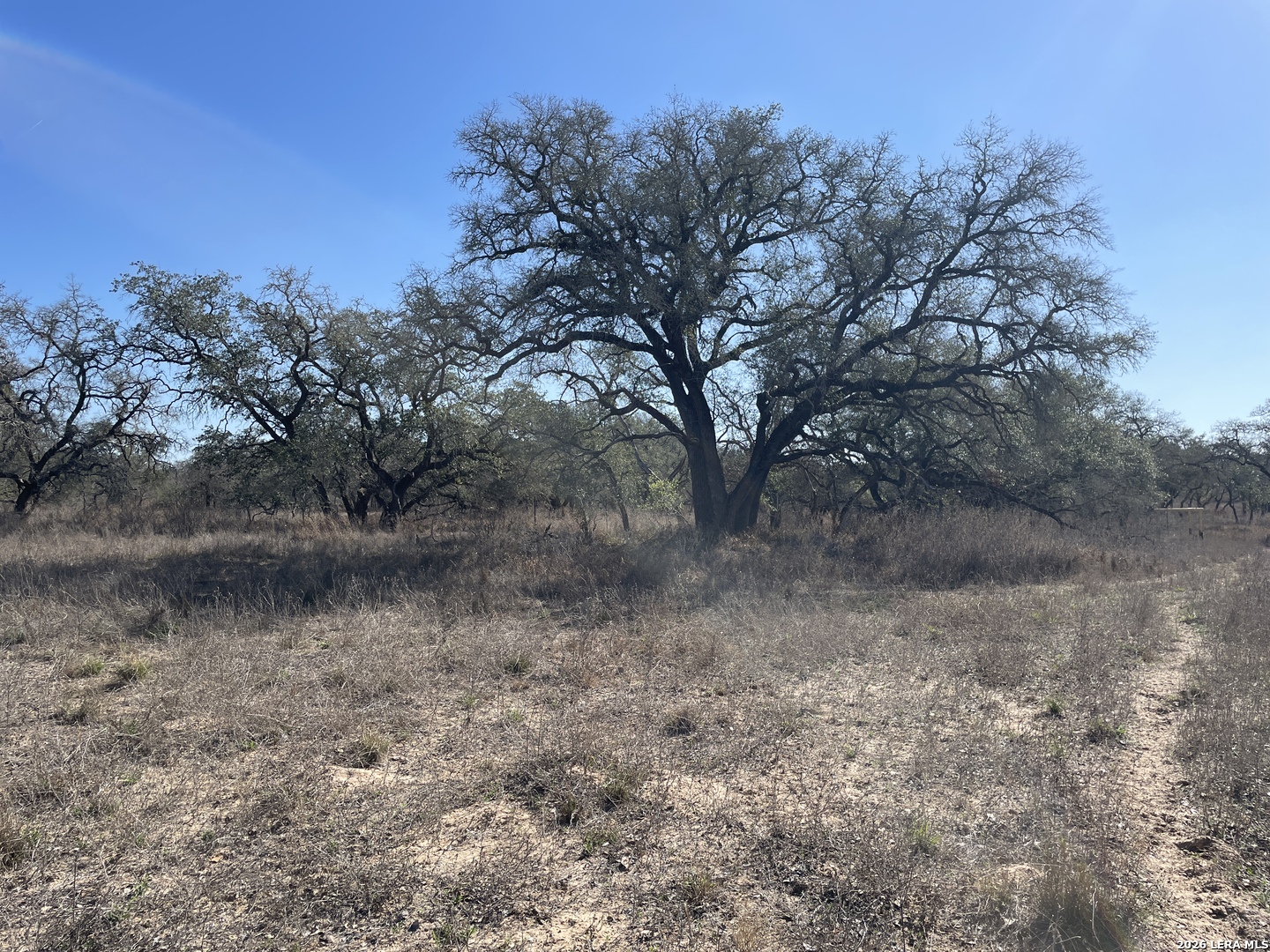 TRACT#8 12.31a County Road 777 Devine TX 78016