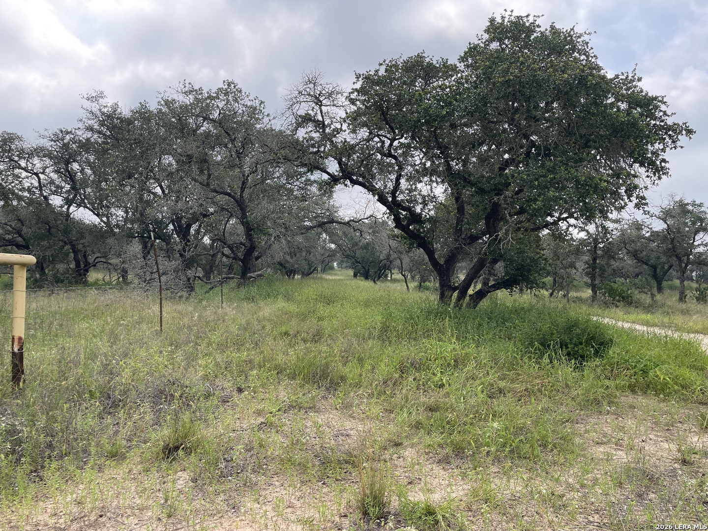 TRACT#8 12.31a County Road 777 Devine TX 78016
