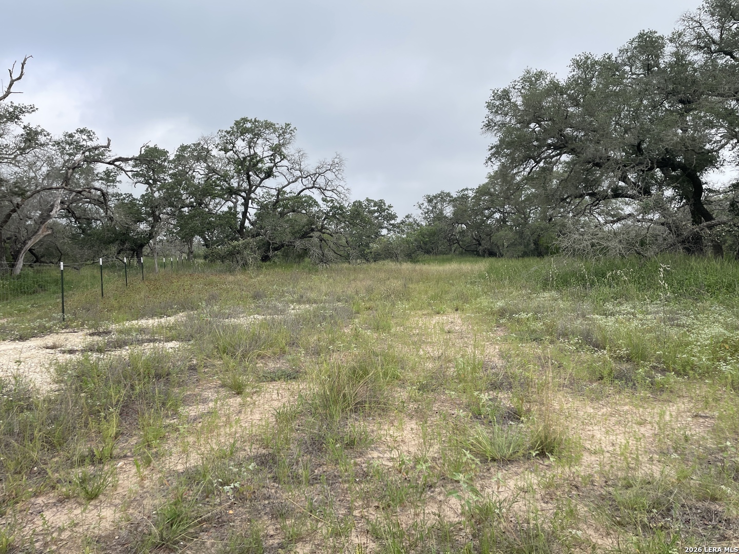 TRACT#8 12.31a County Road 777 Devine TX 78016