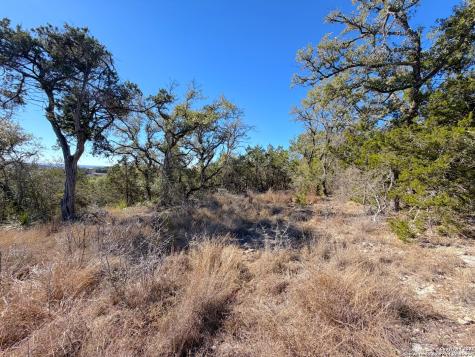 1178 Primrose Canyon Lake TX 78133