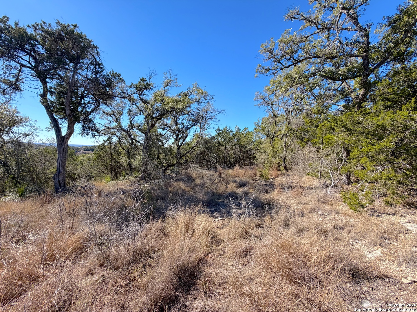 1178 Primrose Canyon Lake TX 78133