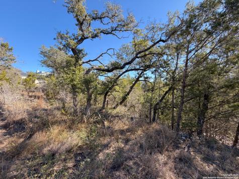 1178 Primrose Canyon Lake TX 78133
