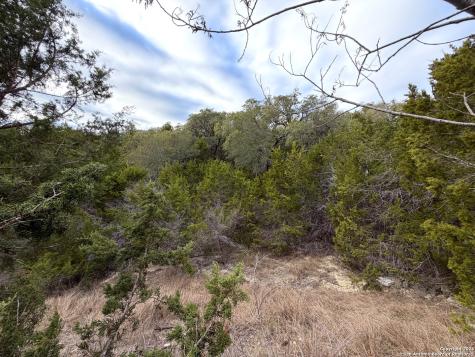 1178 Primrose Canyon Lake TX 78133
