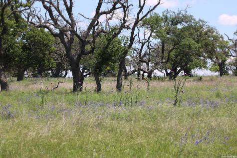 135 Pack Saddle Lane Fredericksburg TX 78624