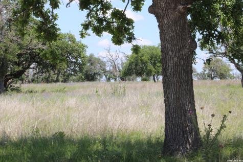 135 Pack Saddle Lane Fredericksburg TX 78624