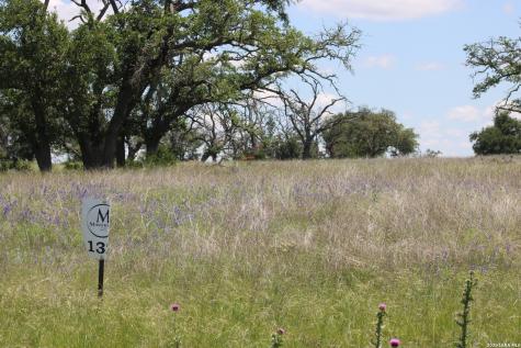 135 Pack Saddle Lane Fredericksburg TX 78624