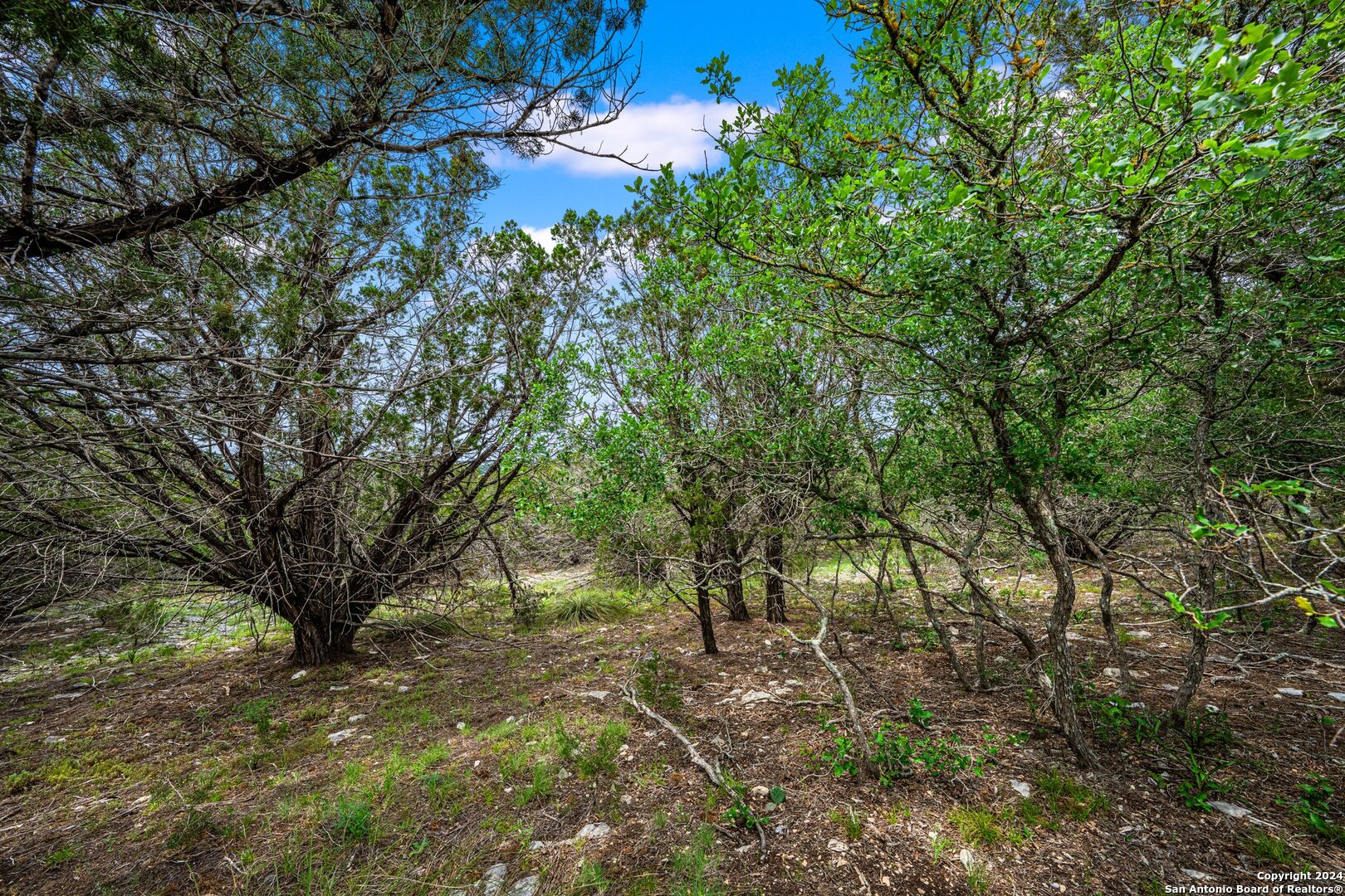195 & 200 Countless Views Drive Kerrville TX 78028