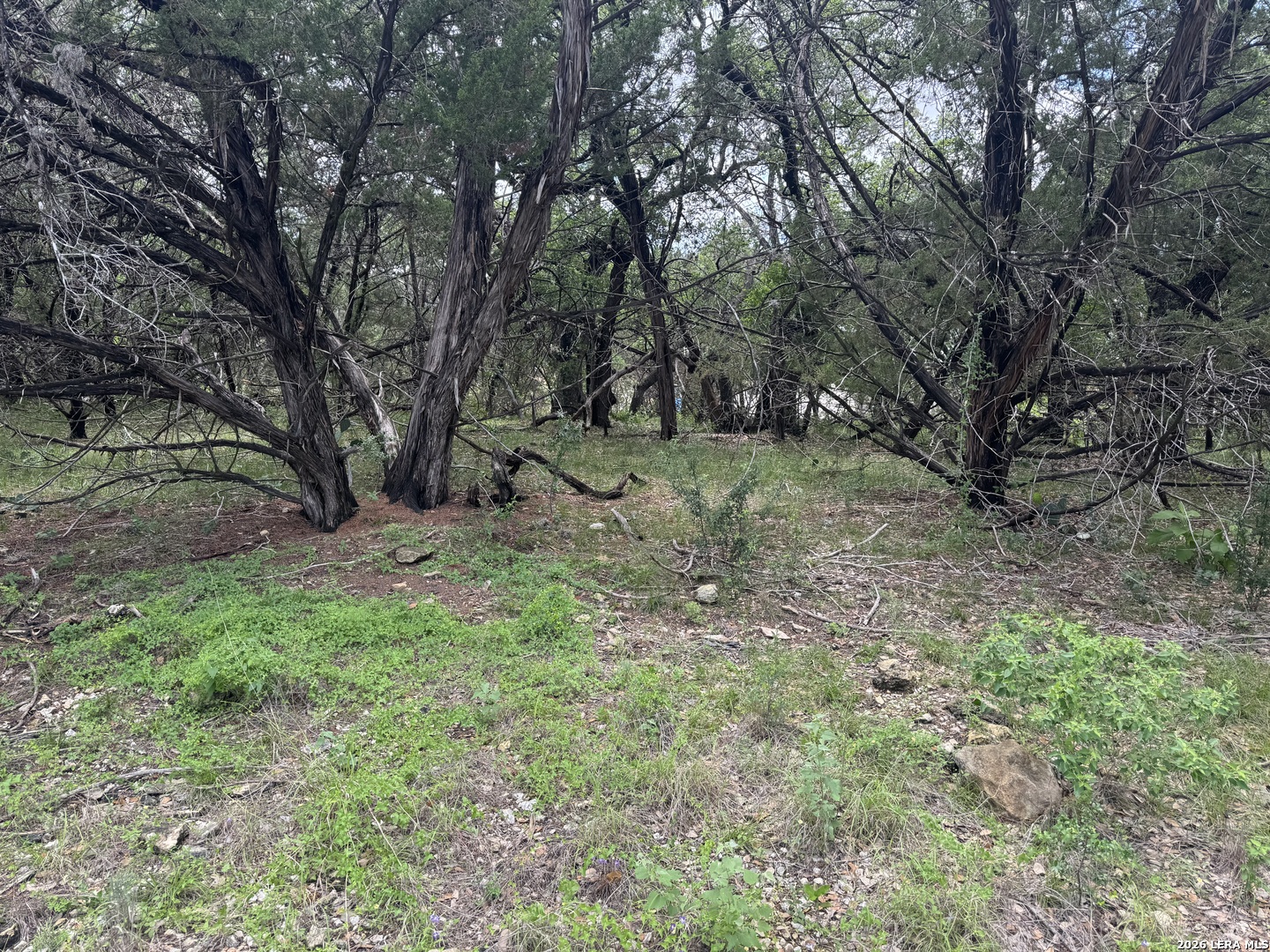 82 Percival San Antonio TX 78230