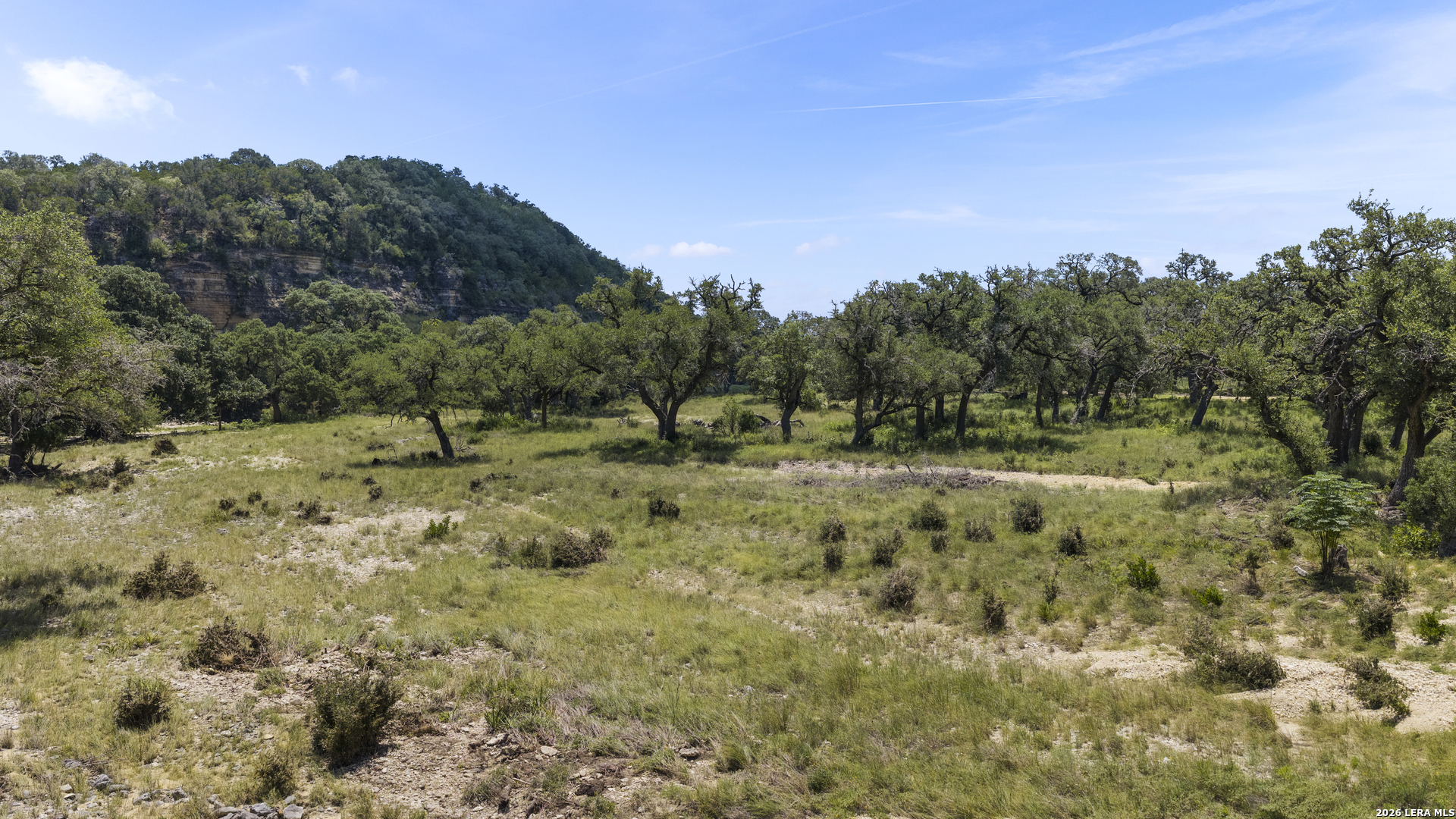 29008 Cibolo Cliff Road Bulverde TX 78163