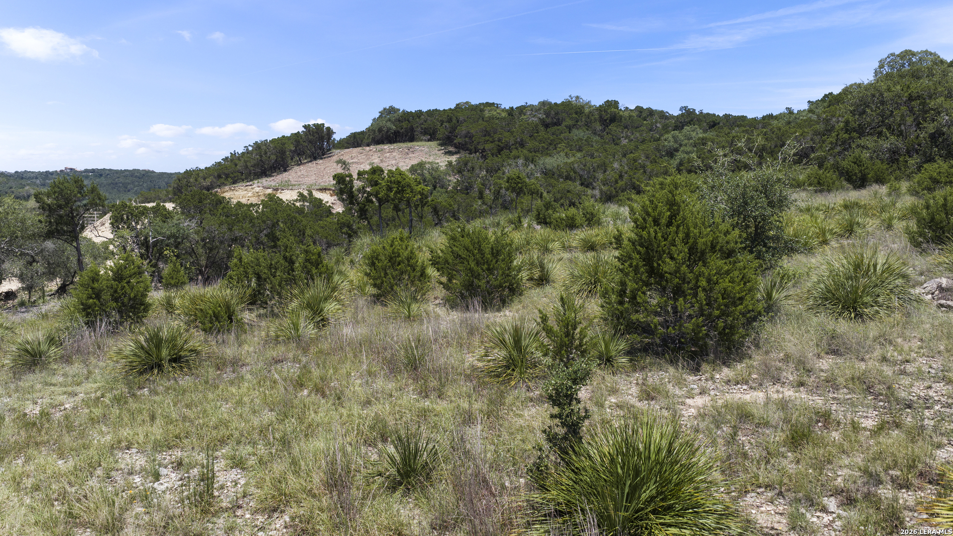 29008 Cibolo Cliff Road Bulverde TX 78163