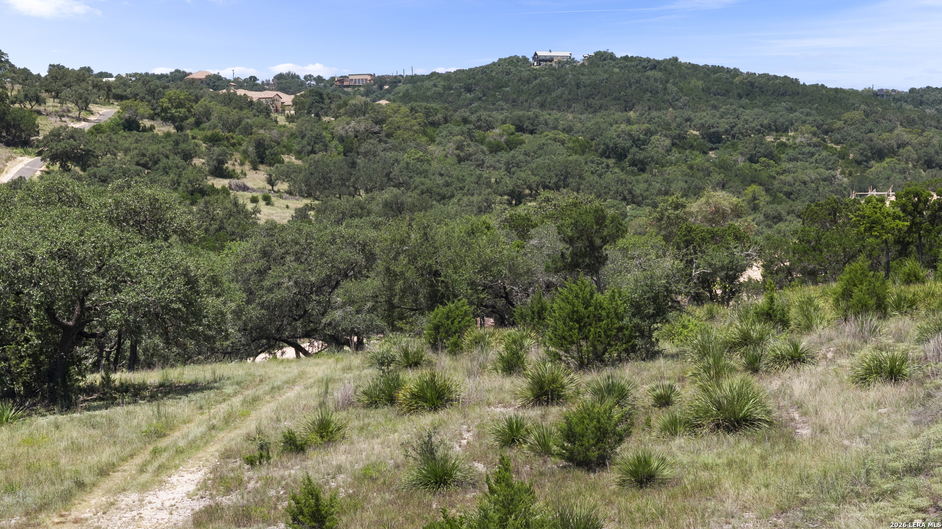 29008 Cibolo Cliff Road Bulverde TX 78163