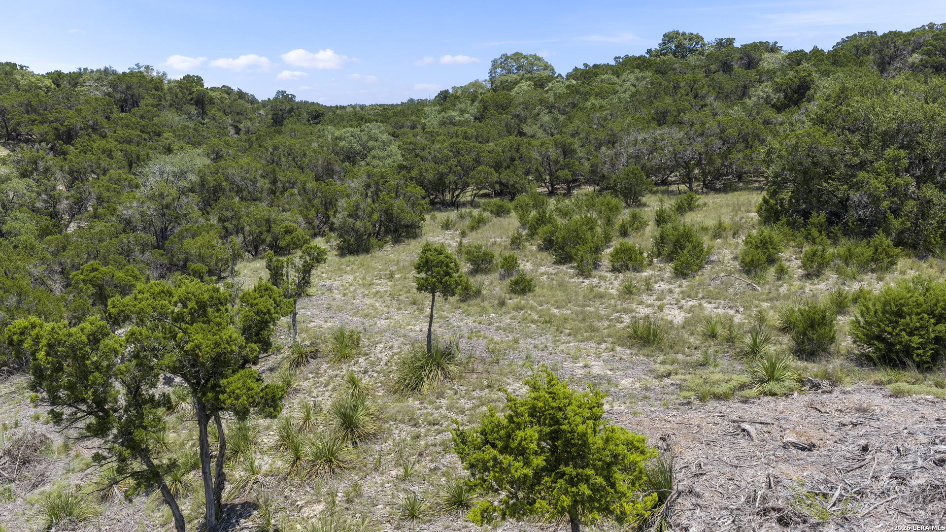 29008 Cibolo Cliff Road Bulverde TX 78163