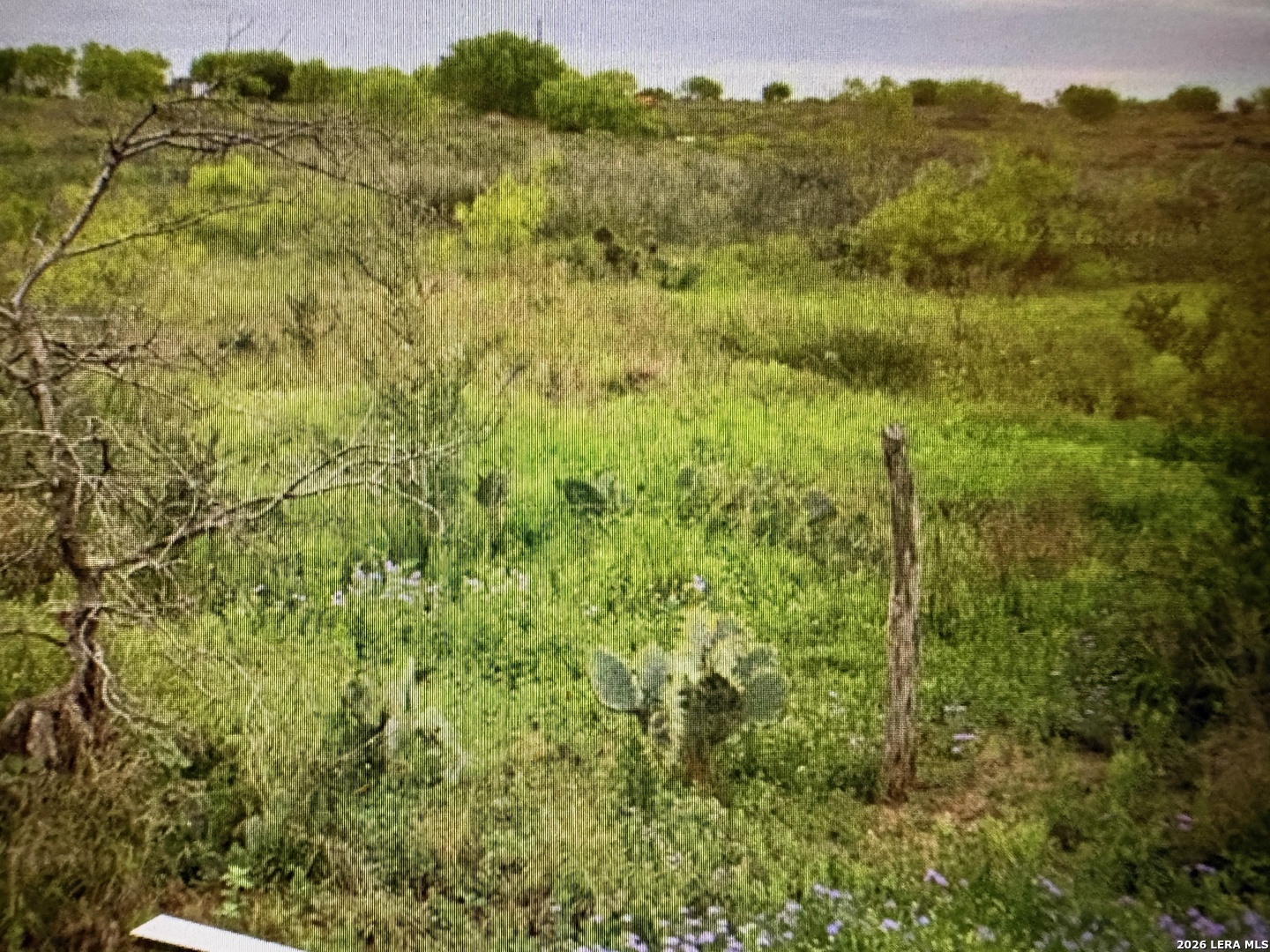 1849/1909 Strawberry City Poteet TX 78065