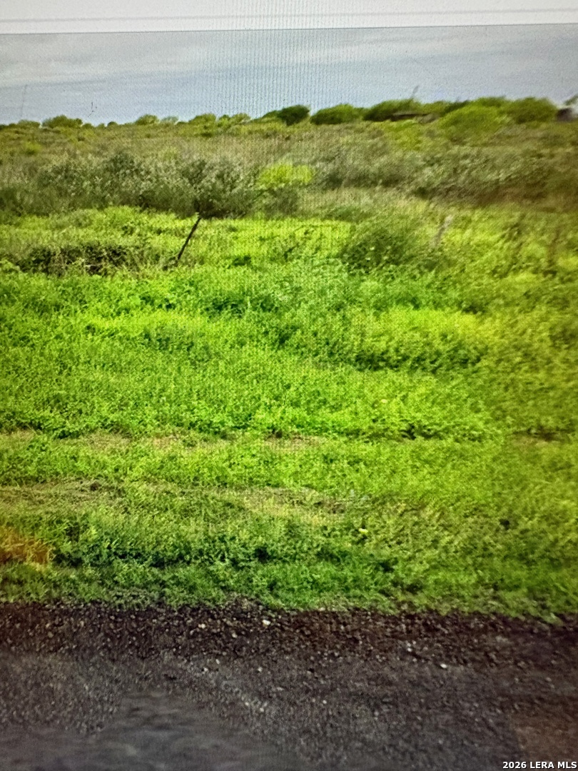 1849/1909 Strawberry City Poteet TX 78065
