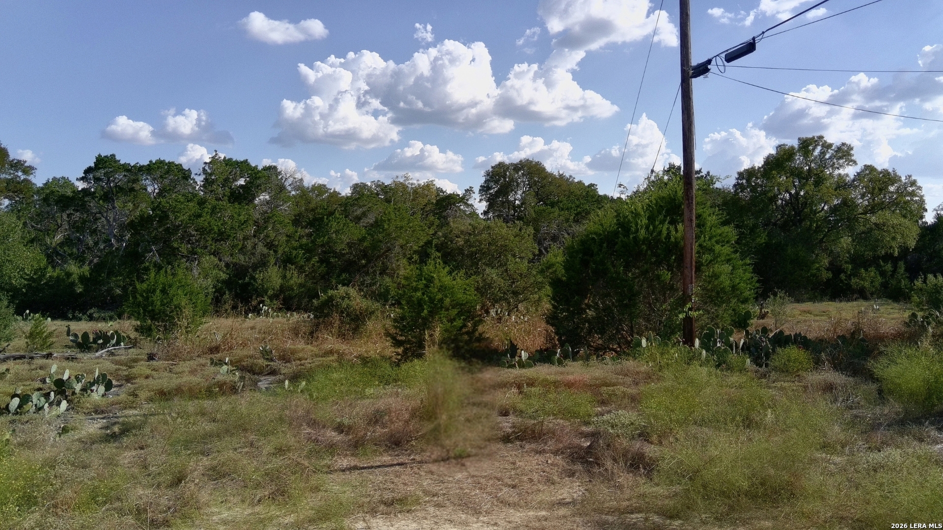 181 Blue Bonnet Hill Circle Spring Branch TX 78070