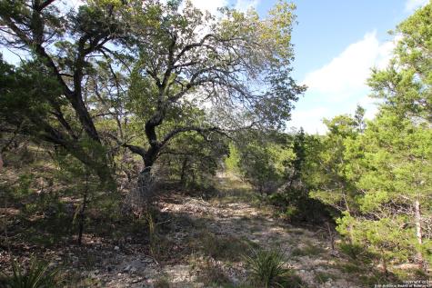 29035 Verde Mountain Trail San Antonio TX 78261