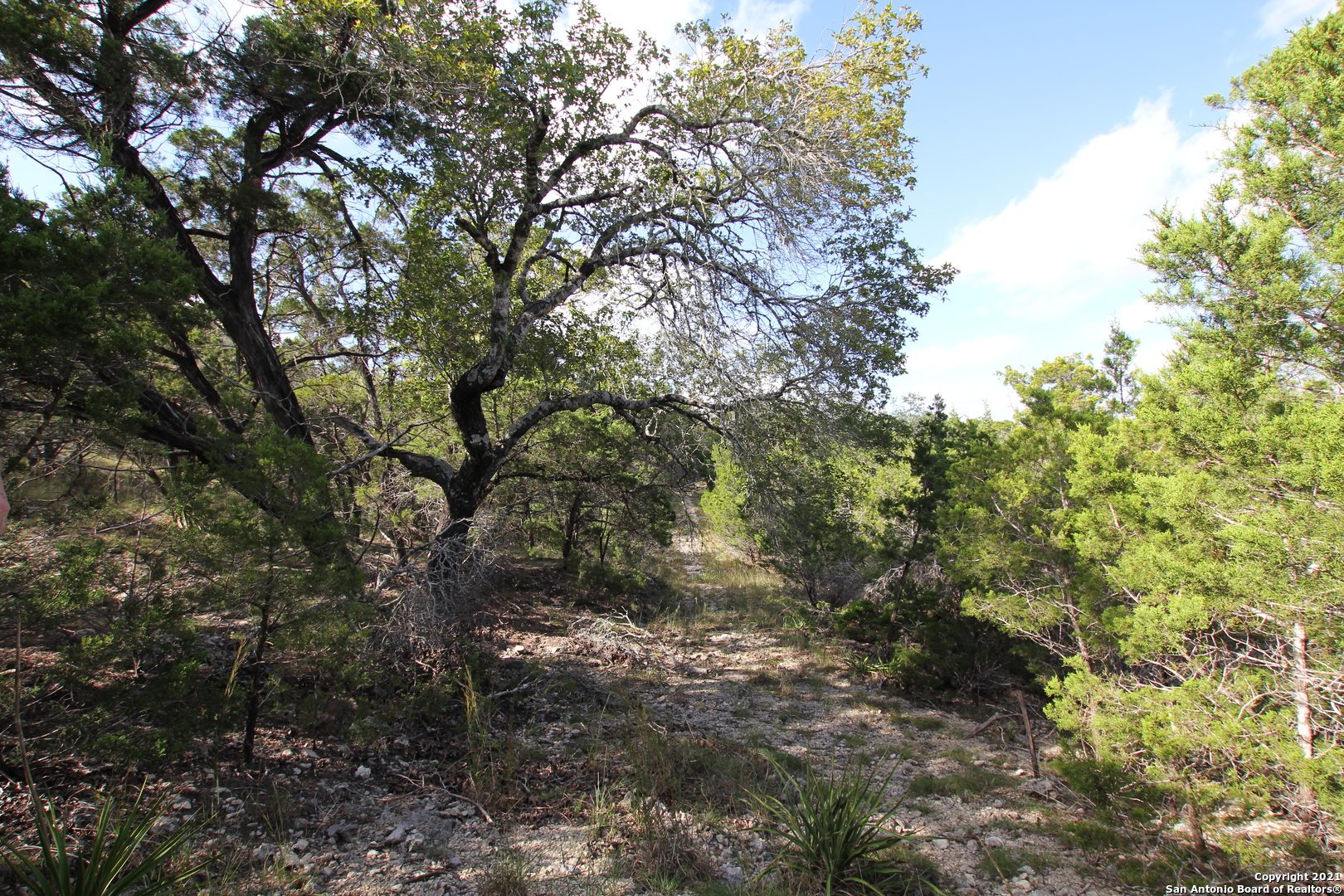 29035 Verde Mountain Trail San Antonio TX 78261