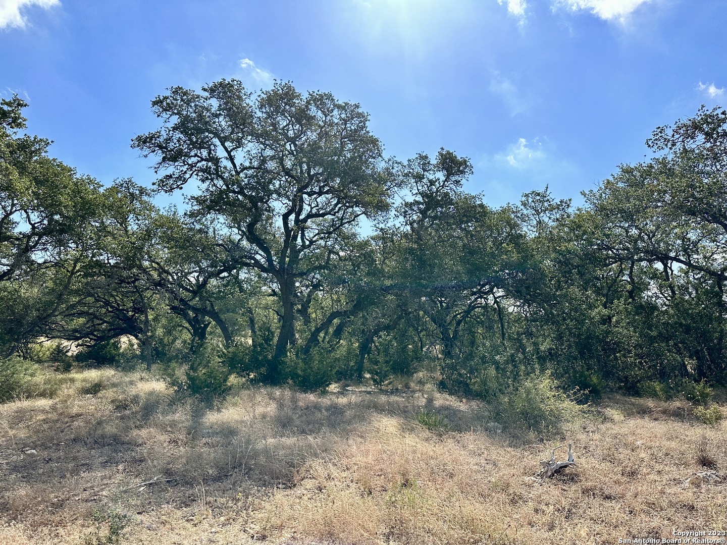 34676 Ansley Ridge Trail Bulverde TX 78163