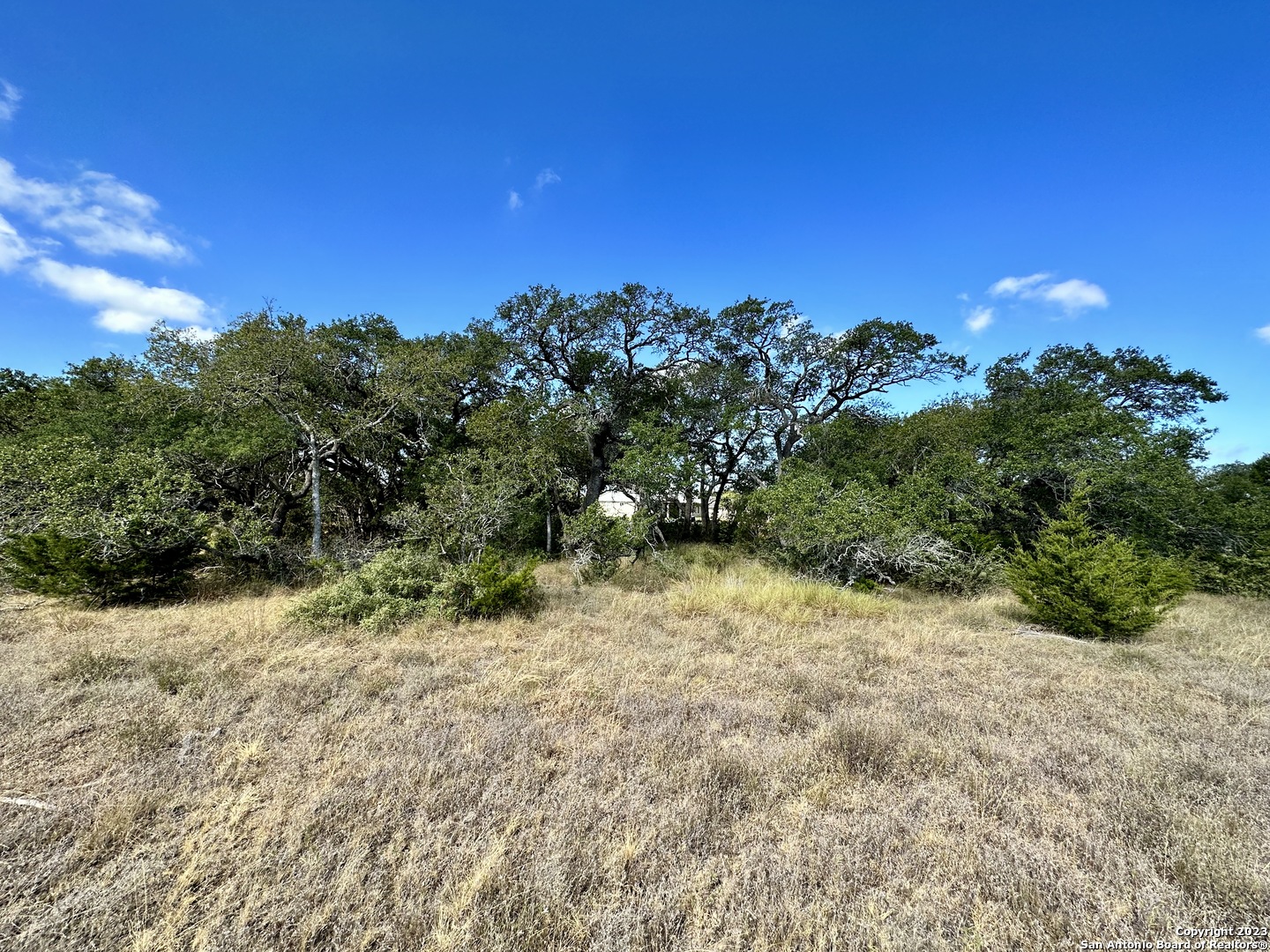 34676 Ansley Ridge Trail Bulverde TX 78163