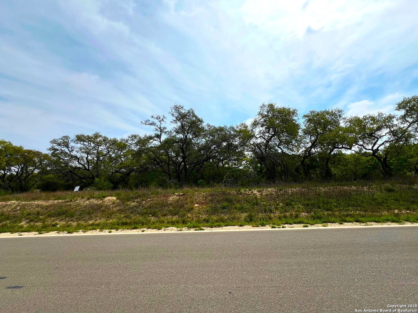 34676 Ansley Ridge Trail Bulverde TX 78163