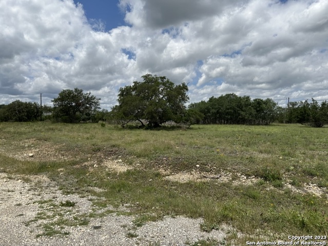 103 Silas Parker Blanco TX 78606