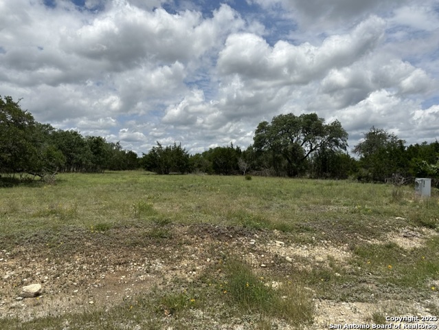 103 Silas Parker Blanco TX 78606