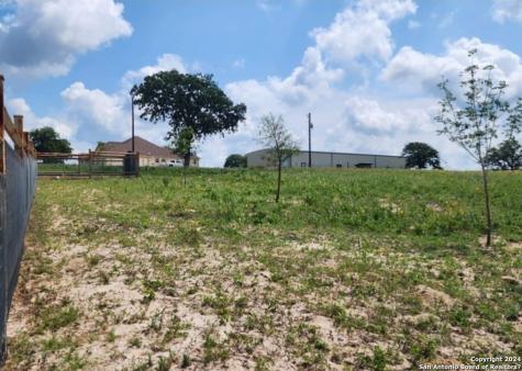 233 Triple Bend Drive La Vernia TX 78121